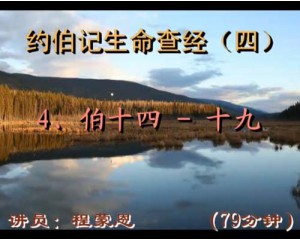 约伯记生命查经14-19